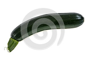 Raw zucchini close up on white background photo