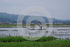 Rawa Pening Lake is now used as a tourist train destination route