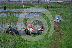 Rawa Pening Lake is now used as a tourist train destination route