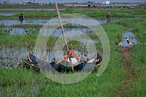 Rawa Pening Lake is now used as a tourist train destination route