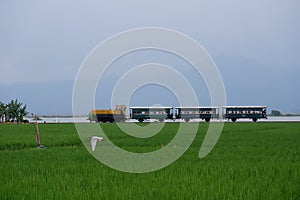 Rawa Pening Lake is now used as a tourist train destination route