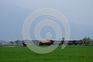 Rawa Pening Lake is now used as a tourist train destination route