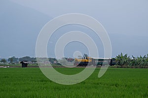 Rawa Pening Lake is now used as a tourist train destination route