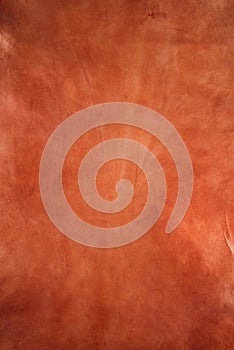 Rawhide leather background stock photo image