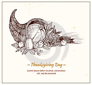 Rawn vector illustration - Thanksgiving day. Cornucopia