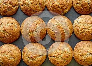 Raws of freshly baked homemade muffins in a muffin pan