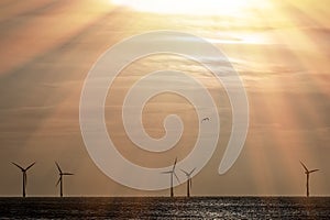 Ray of hope. Climate change and global warming wind farm landscape