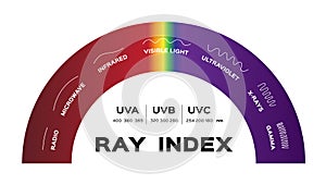 Ray index infographic vector . radio microwave infrared visible light ultraviolet x-rays and gamma photo