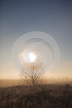 ray of light breaks through the dramatic sky