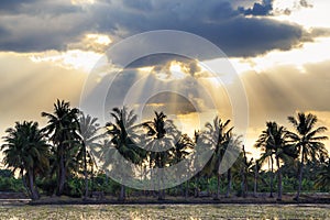 Ray of light breaks through the dramatic sky at sunset