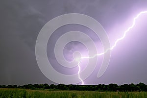Ray. Lightning storm. Lightning bolt storm. Fork lightning striking. Lightning thunderstorm