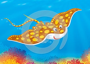 Ray swims over a coral reef