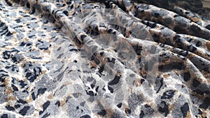 Rayon cotton fabric with leopard print. Fabric texture. photo