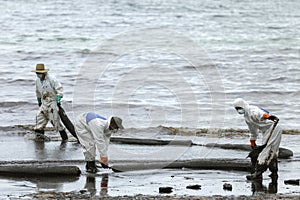 A Worker in biohazard suits used Oil Containment boom as cleani