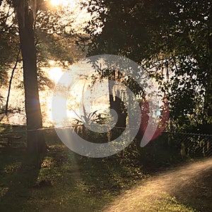 Rays of beauty outshined