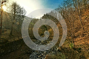 rays of light on a dry river bed