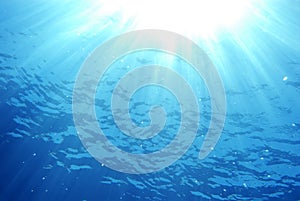 Rays of light underwater
