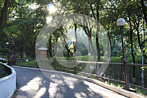 Rays of morning light through the crowns of trees in the Public Park. Pyatigorsk, Russia