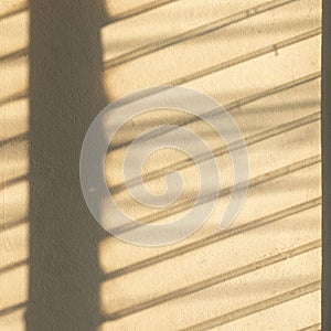 Rays of the sun coming through the window