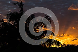 Rays of sun on a Cuban beach