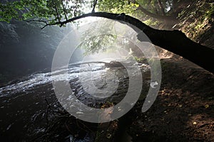 The sun`s rays illuminate the dark gorge photo