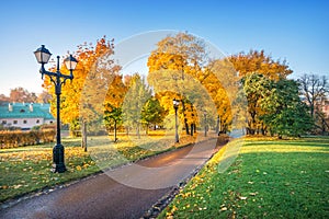 Beautiful autumn trees in Tsaritsyno park