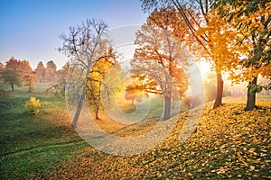 Rays of the sun in a ravine in Tsaritsyno park