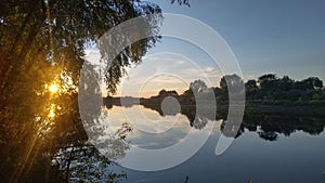 The rays of the sun setting over the river break through the branches of the willow tree. The sky and clouds are reflected in the 