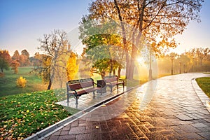 Rays of the sun in Tsaritsyno park