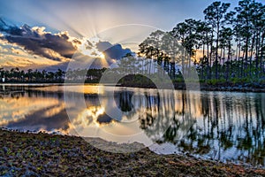 Rays of Sunshine & Reflections