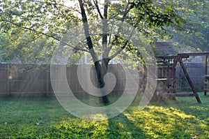 Rays of sunshine stream into a backyard