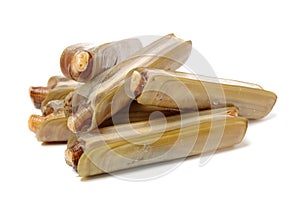 Razor clams