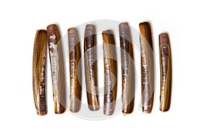 Razor Clams