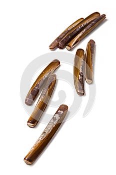 Razor Clams