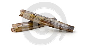 Razor clams isolated on white background. Seafood.