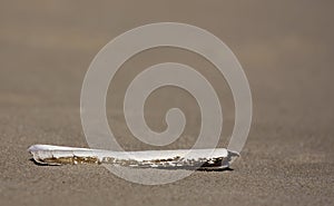 Razor Shell