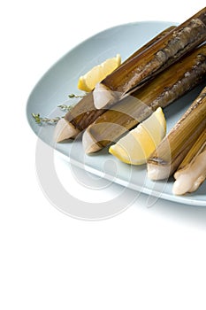 Razor shell seafood