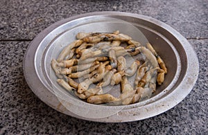 Razor shell tagine in Morocco