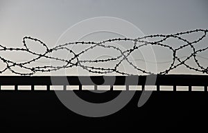 Razor wire