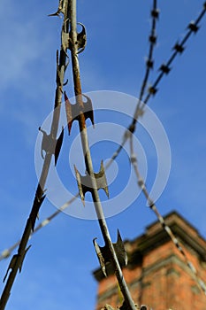 Razor wire 4