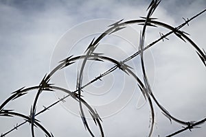 Razor wire close up