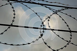 Razor wire fence.
