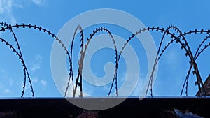 razor wire fence against blue sky