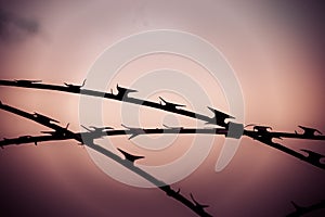 Razor Wire, high security barbed wire to stop intruders climbing fences, against moody sky photo