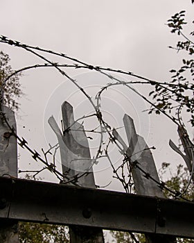 Razor Wire, high security barbed wire to stop intruders climbing fences photo