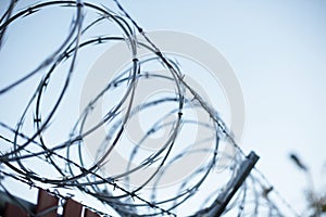 Razor wire silhouette