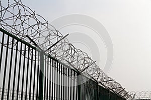 Razor wire on top of green fence guarding French ferry terminal.