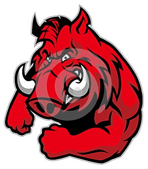 Razorback mascot photo