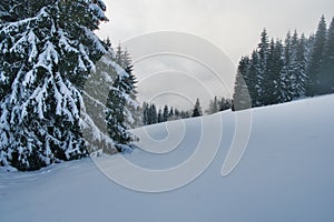 Raztocke sedlo saddle under Salatin peak in Low Tatras mountains during winter