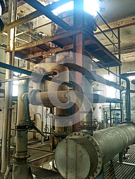 Rc plant, rectified sprit plant